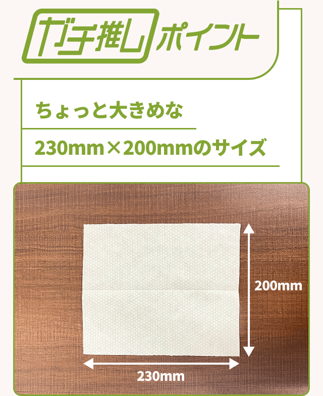 【ガチ推しポイント】ちょっと大きめな230mm×200mmのサイズ